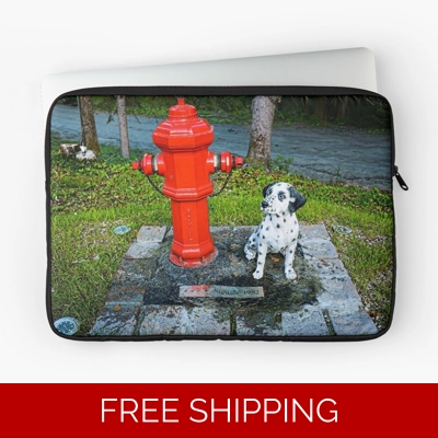 Le Studio Laptop Sleeve Rush Signals Monument